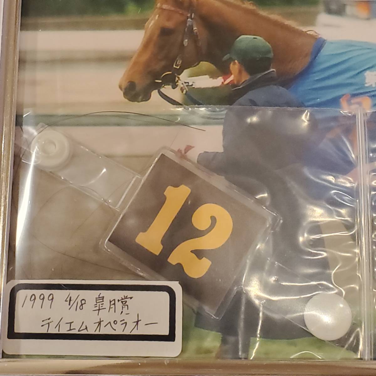 テイエムオペラオー 皐月賞 実使用 競馬 競走馬 ウマ娘 JRA グッズ