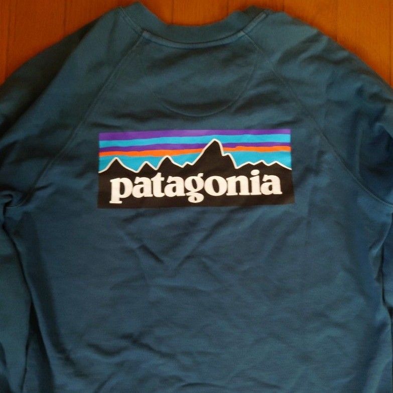 P-6ロゴオーガニックコットンスウェット グリーン S patagonia パタゴニア スウェットトレーナー FA20