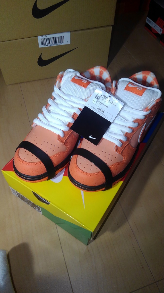 新品未使用 CONCEPTS NIKE SB DUNK LOW ORANGE LOBSTER コンセプツ