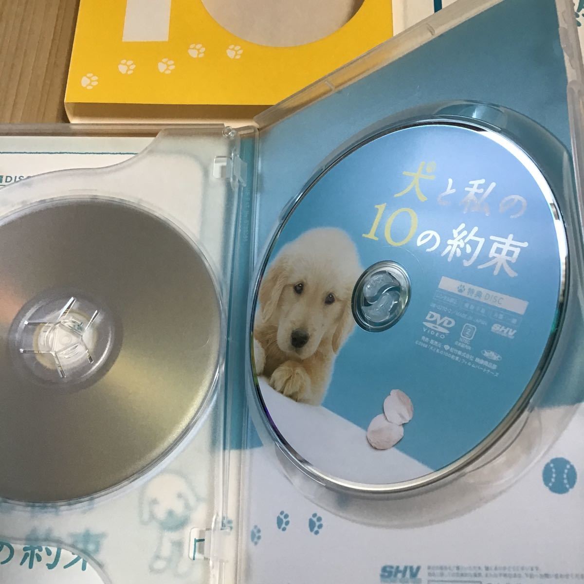 犬と私の１０の約束 プレミアムエディション／田中麗奈加瀬亮本木克英 （監督） 澤本嘉光 （原作、脚本） 川口晴 DVD _画像3