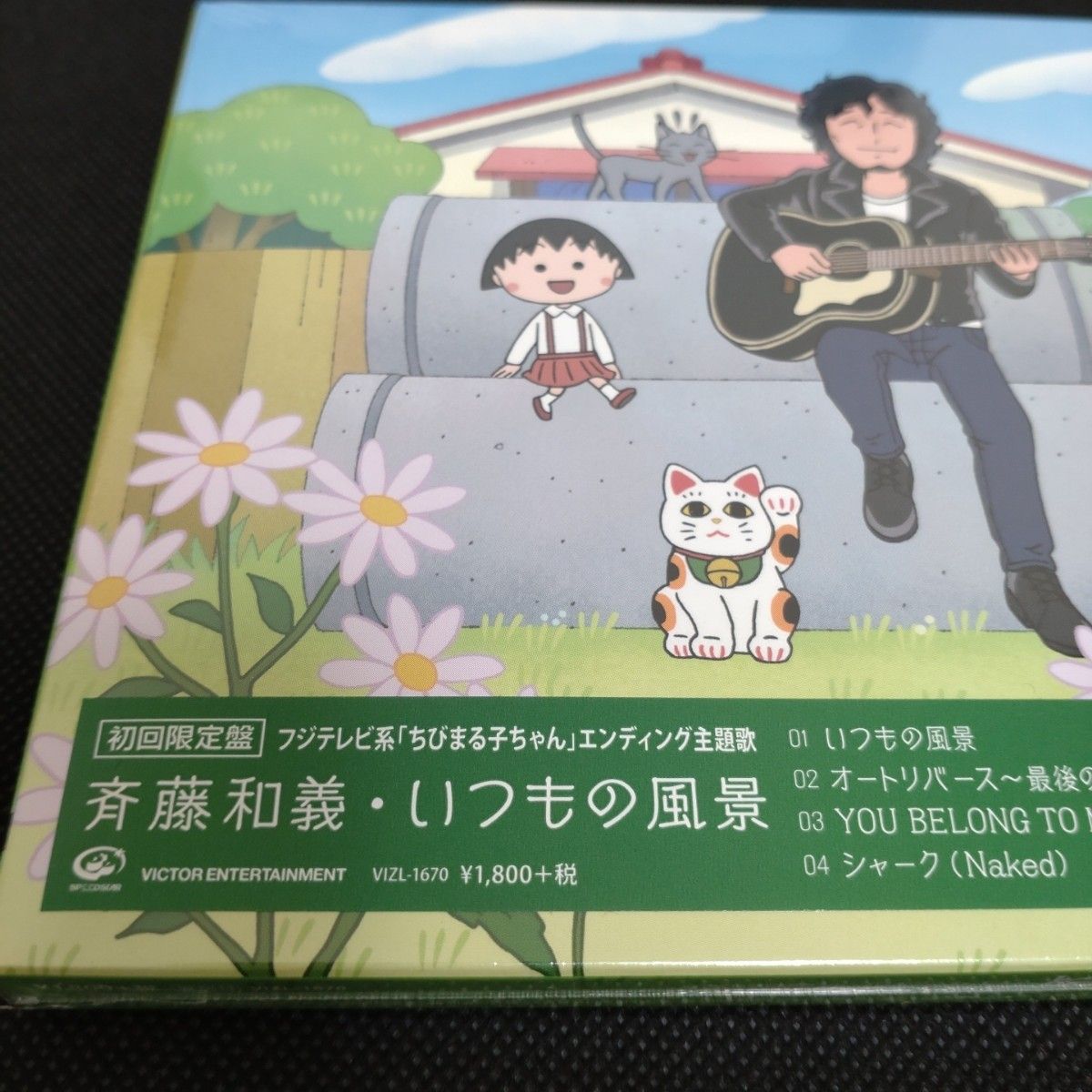 斉藤和義 / いつもの風景 【初回限定盤】 (未開封品) 