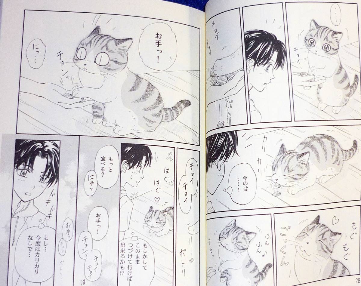  子猫の小梅さん 2　 (ねこぱんちコミックス) コミック 2022/4　★ ほしの なつみ (著)【209】_画像4