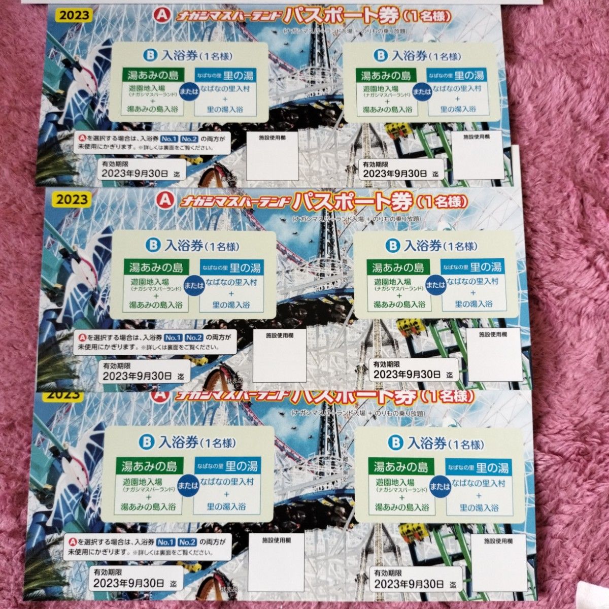 送料無料 ナガシマスパーランド パスポート3枚組 有効期限9月末日