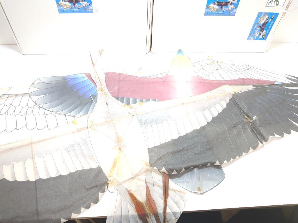 B140 Vaio kite Bio Kite kite octopus 20 sheets and more large thing from small thing till junk treatment 