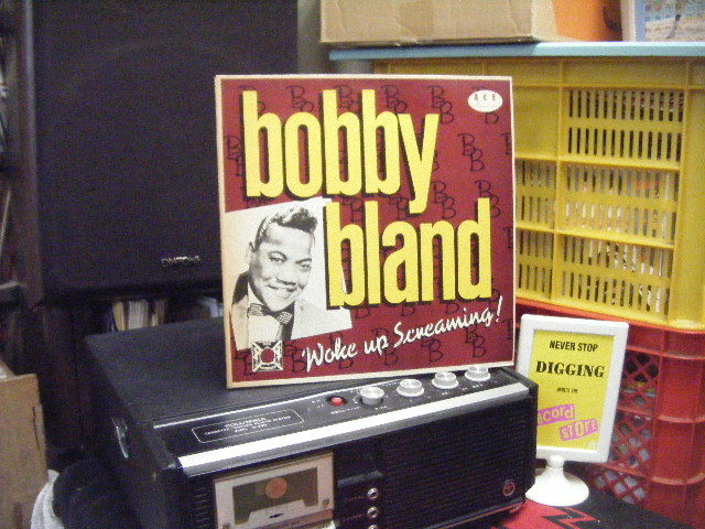 F-22 Bobby  "blue" Bland / woke up screaming の画像1