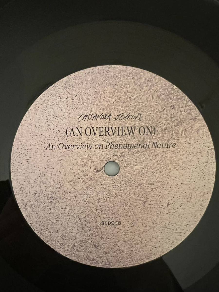 新品並 シュリンク Cassandra Jenkins (An Overview On) Phenomenal Nature LPレコード Canada カナダ 2021 Ambient Acid Folk_画像7