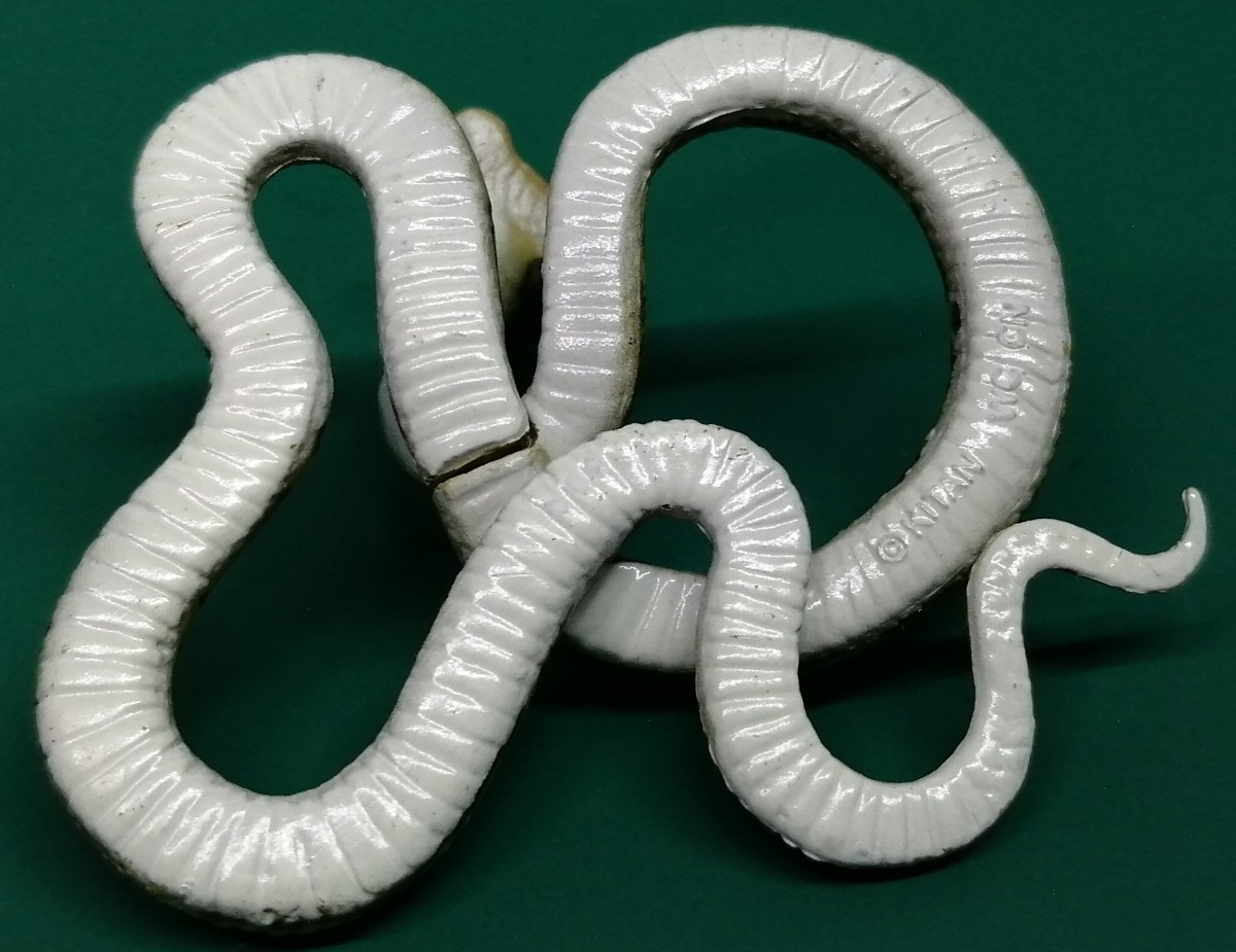 ネイチャーテクニカラー 日本のいきもの ハブ 蛇 ヘビ へび 毒蛇