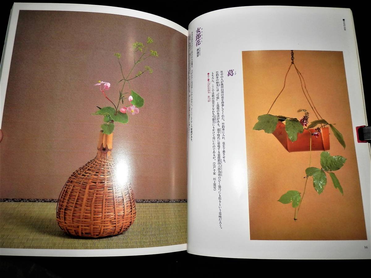 書籍/茶花暦/秋の七草/茶道各流家元.宗匠-茶花作品-江戸千家 書籍/茶花暦/秋の七草/茶道各流家元.宗匠-茶花作品-江戸千家