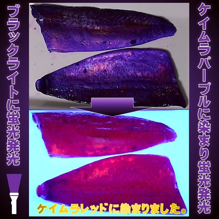 紫外線加工液 集魚剤 ケイムラパープル ケイムラオレンジ 190ml ２色組 ケイムラ 液 オキアミ 冷凍イワシ 海上釣堀 エサ 釣りエサ 釣り餌の画像7