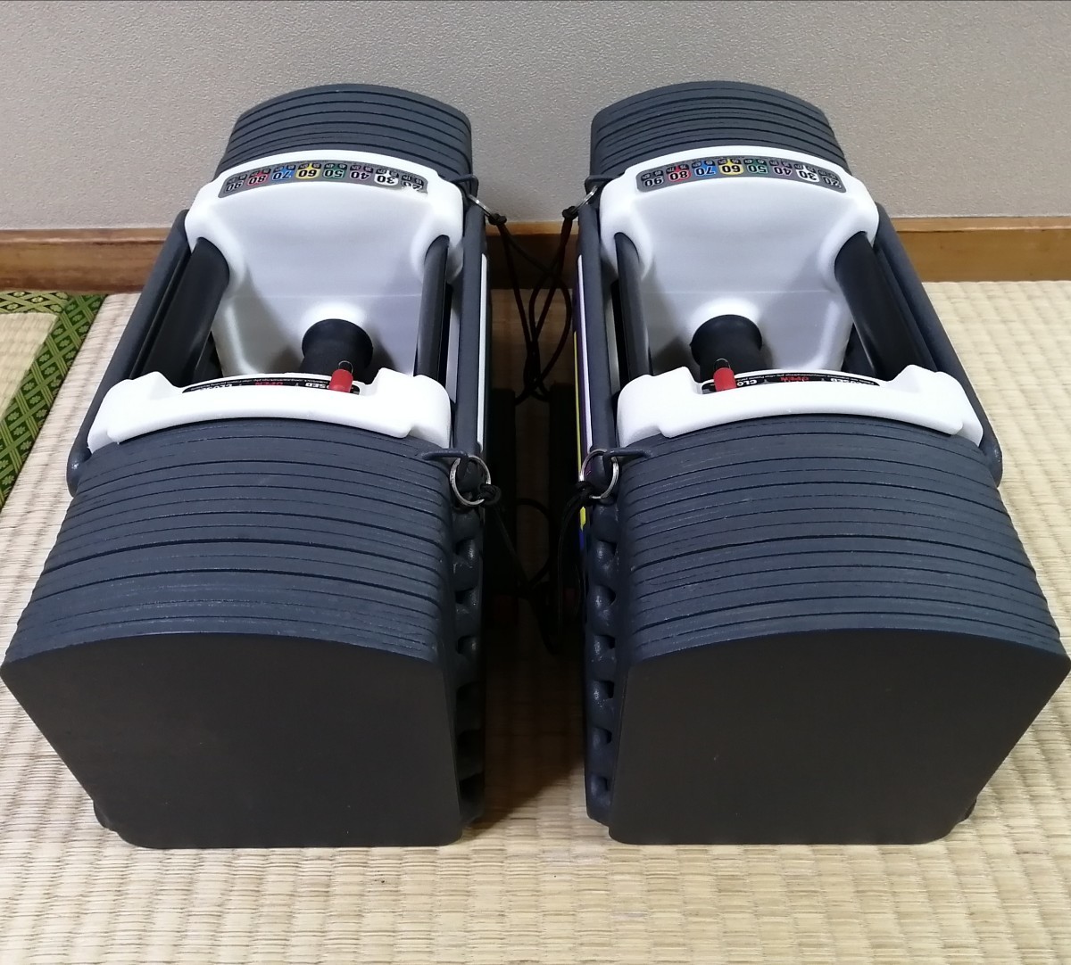 正規品 定価12.8万円ほど POWER BLOCK パワー ブロックSP9.0 41kg 2個