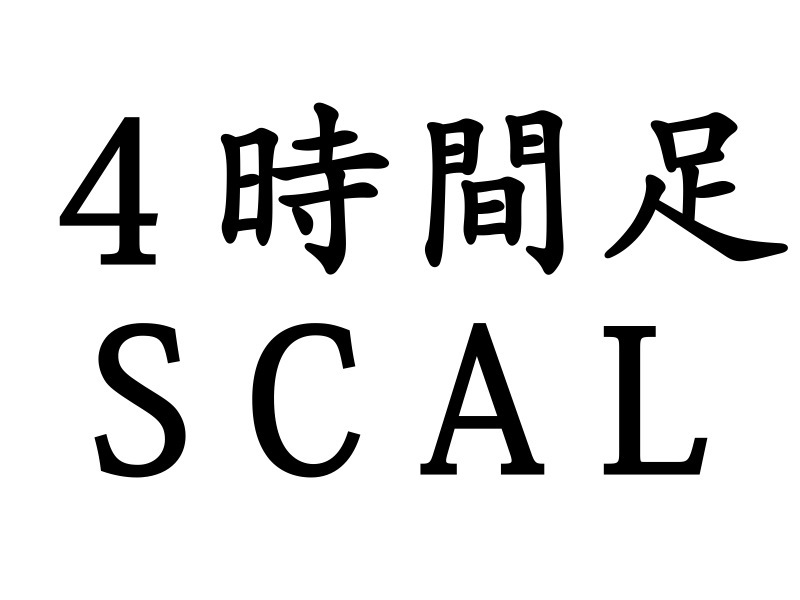 FX tool * 4 hour pair Scalping System * ( inspection )MT4baina Lee option automatic sales EA Date re swing Scalping BO high low tool 