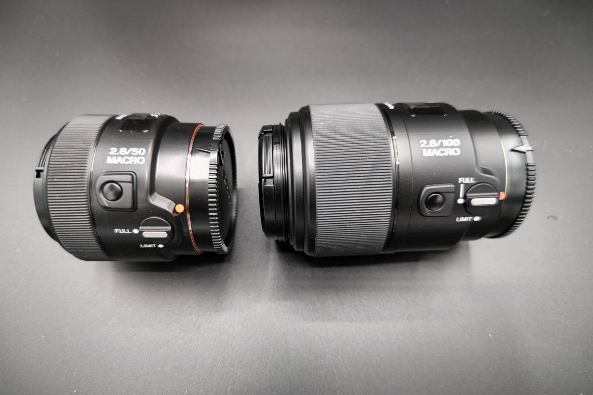 交換無料 ソニー SONY 100mm F2.8 Macro SAL100M28 anelizecampos.com.br