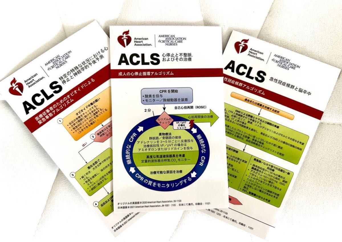 ACLS プロバイダーマニュアル AHAガイドライン 2020準拠 abitur.gnesin