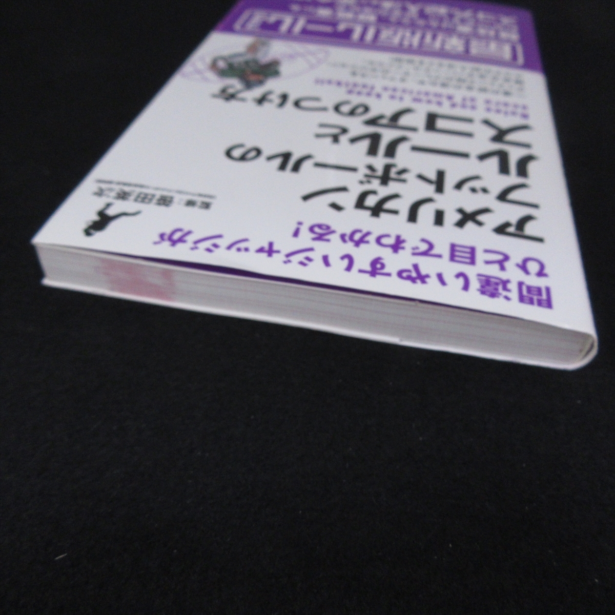 本 『アメリカンフットボールのルールとスコアのつけ方 間違いやすいジャッジがひと目でわかる！』 ■送120円 笹田英次（監修） アメフト○_画像8