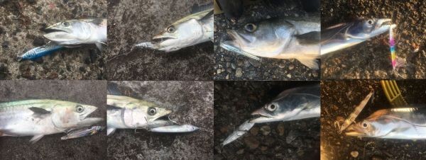 31 DFジグ　3個＋1個40ｇ サワラ太刀魚タチウオショアジギングにジグベイトヒラメ超遠投遥か彼方のナブラへ×２トレブルフックは強力_とにかくどこでも使い勝手がいい