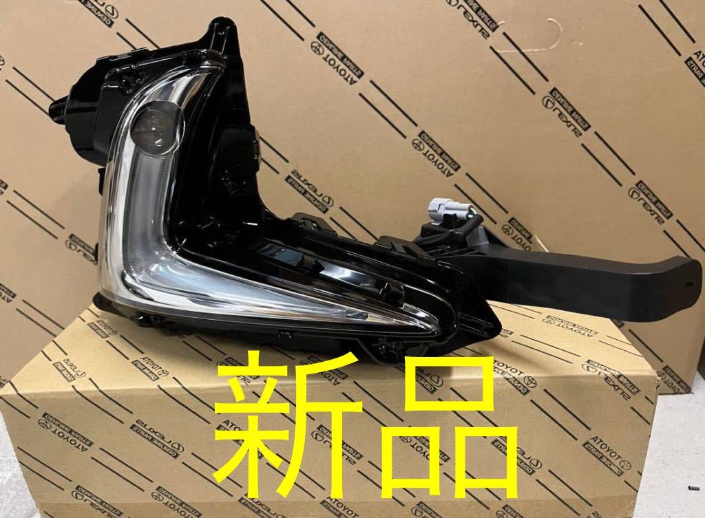 瀧治堂・開運絵画・龍神・龍神様・健康祈願・商売繁盛・開運・金 瀧治堂・開運絵画・龍神・龍神様・健康祈願・商売繁盛・開運・金