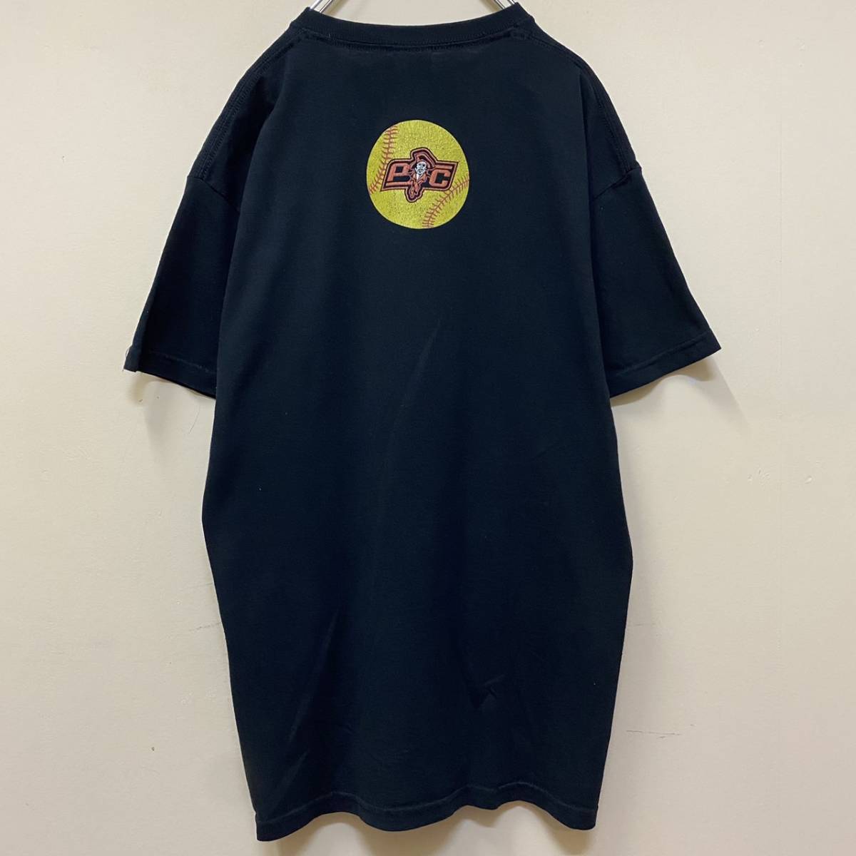 【１円スタート】90′s GILDAN 良デザイン USカレッジ Tシャツ 古着 ヴィンテージ 海外 アメリカ 輸入 【1617】_画像2