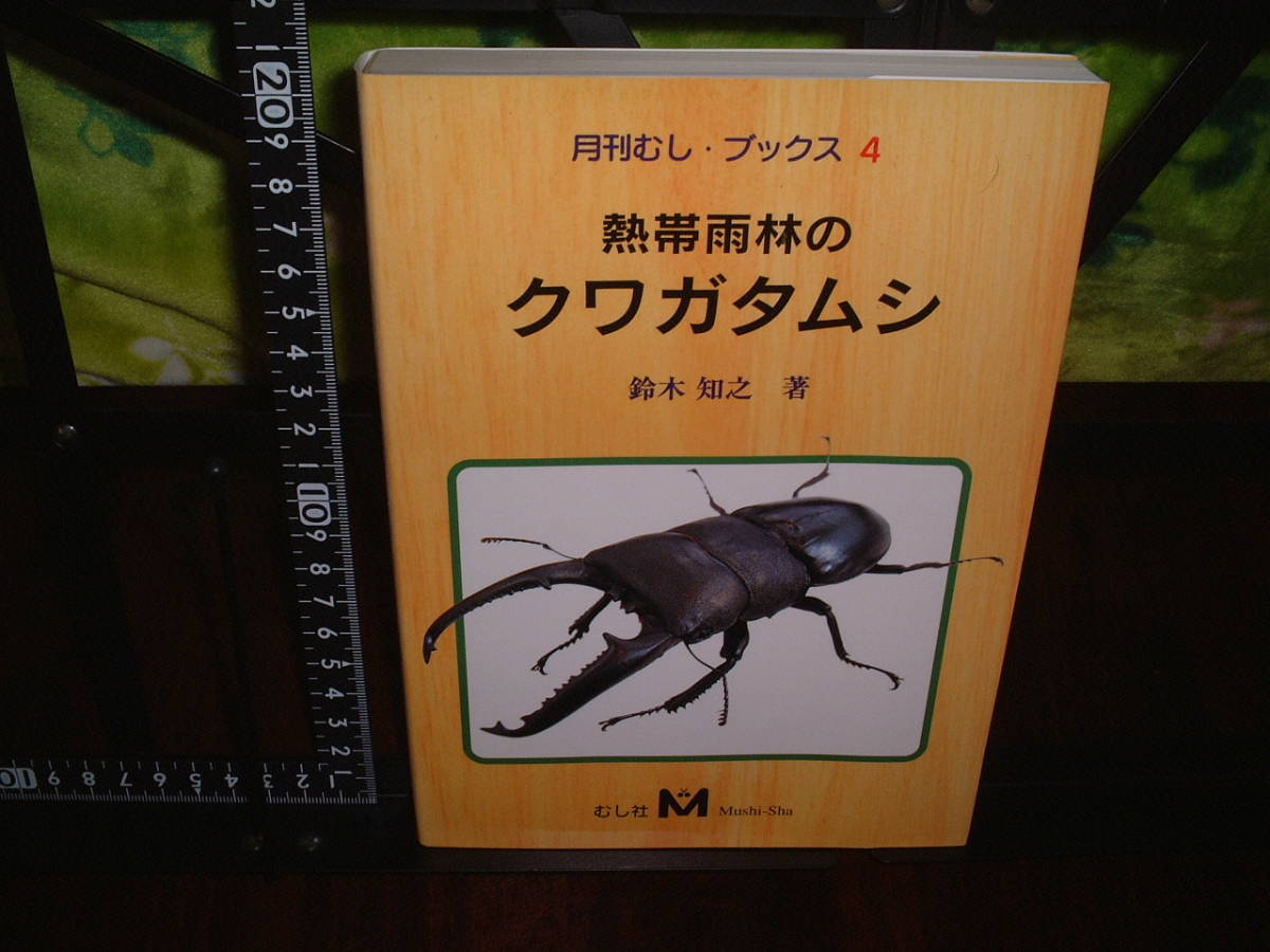  monthly ..* books 4. obi rain .. stag beetle Suzuki .. work 