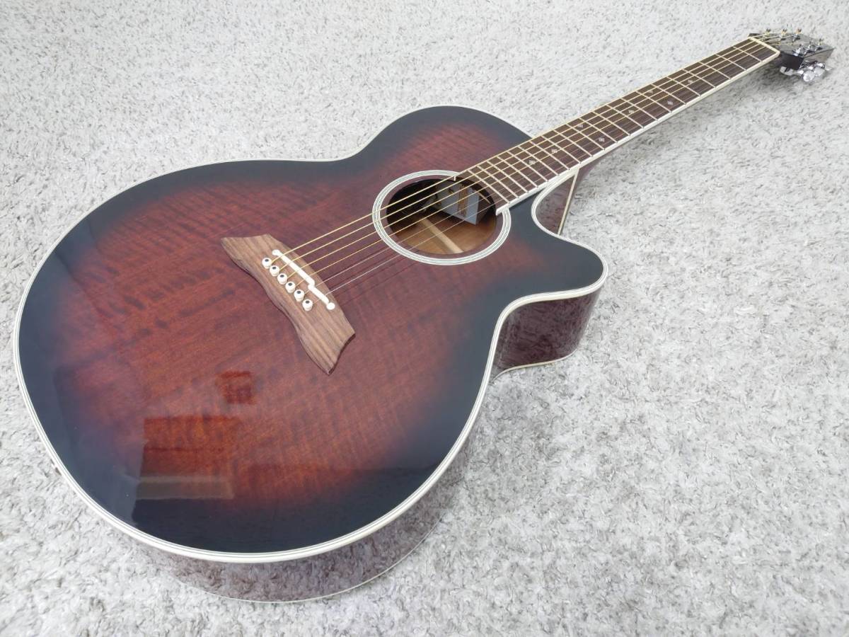 一流の品質 タカミネ エレクトリックアコースティックギター DSP110TRD