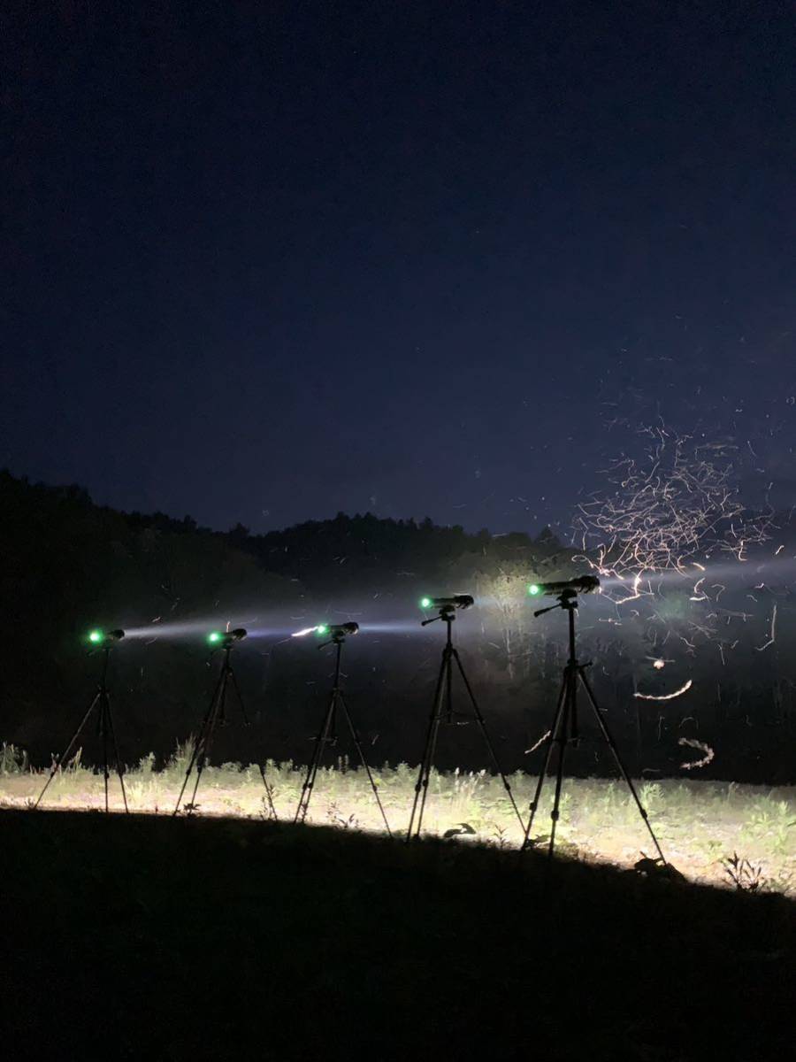 爆光】Tokutoyo HID懐中電灯 85W/65W/45W 灯火採集 ライト 爆光】Tokutoyo HID懐中電灯 85W/65W/45W 灯火採集 ライト
