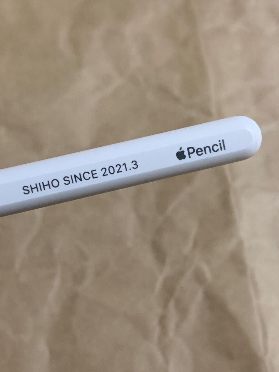 純正 Apple Pencil 2 アップル ペンシル 第2世代 MU8F2J/A (A2051)__F9