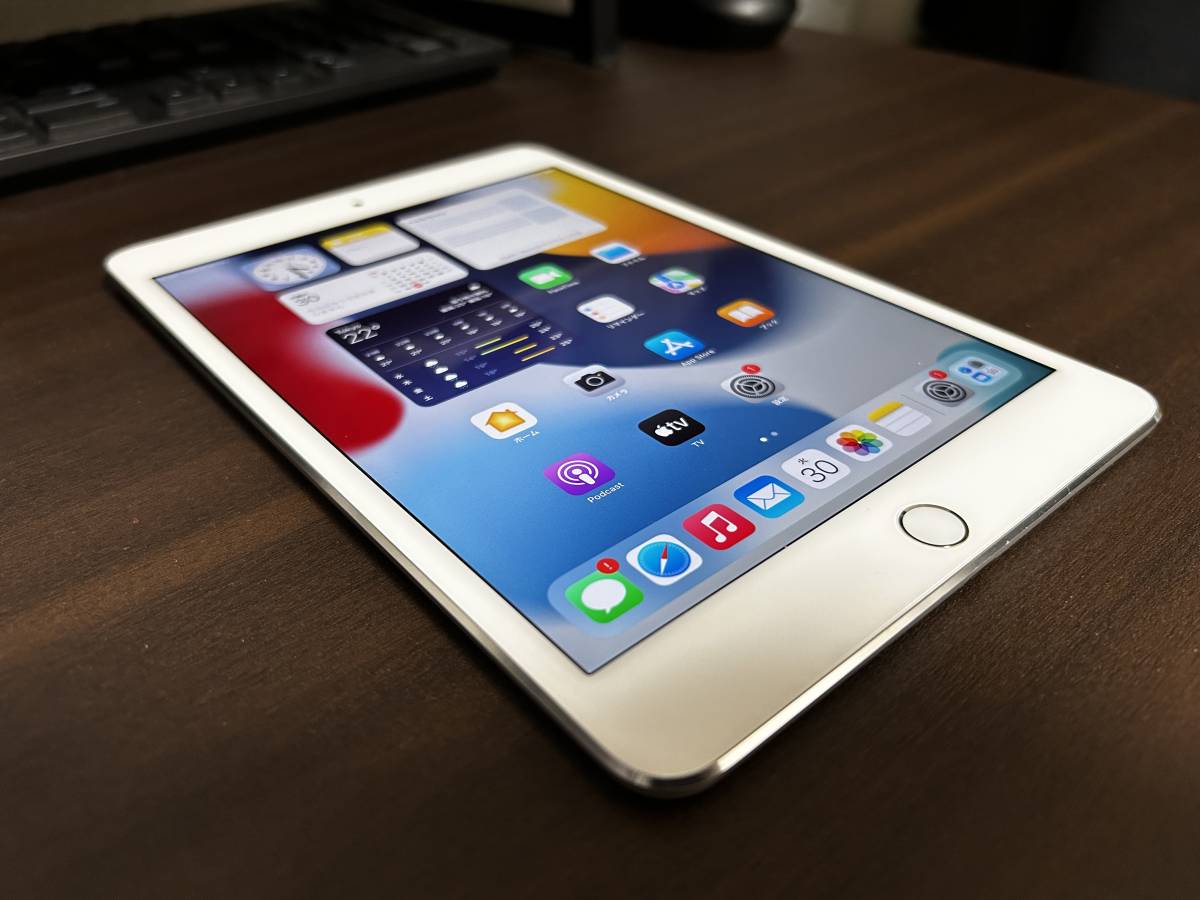 iPad mini4 第4世代 16GB Wi-Fi+Cellular MK702J/A 残債なし SIMロックなし docomo購入品 ケース付