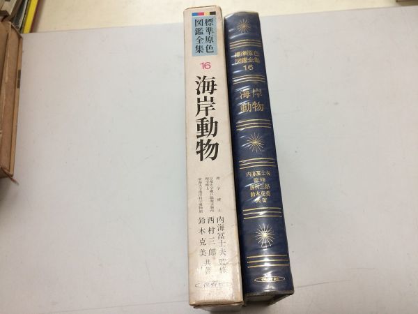 ●P541●海岸動物●標準原色図鑑全集16●保育社●海生物クラゲクマムシカブトガニカシラエビシャコオキアミアメフラシタコイカヒトデウニ_画像2