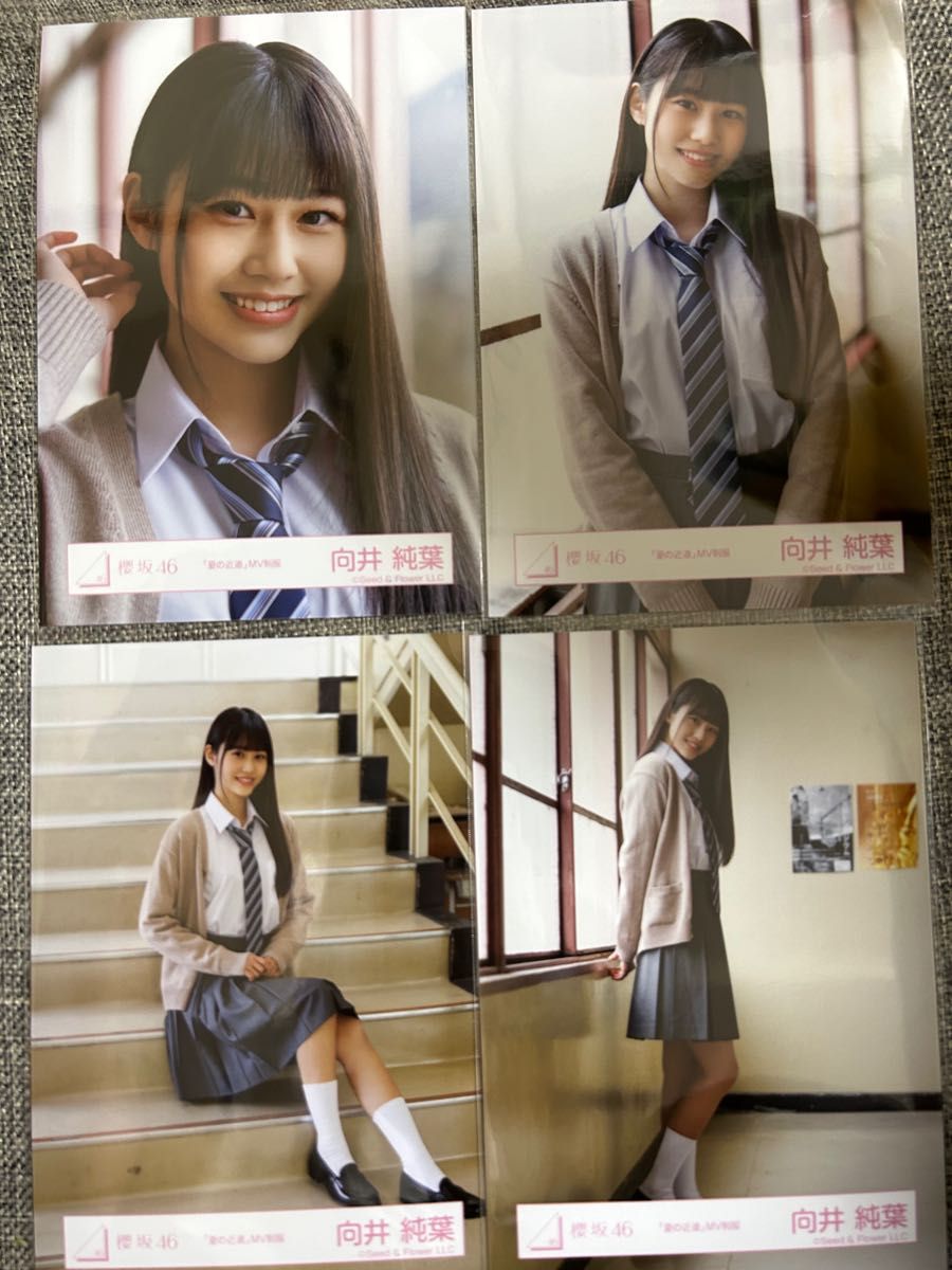 櫻坂46向井純葉 夏の近道 MV制服 生写真 4枚セット(匿名発送 櫻坂46向井純葉 夏の近道 MV制服 生写真 4枚セット(匿名発送