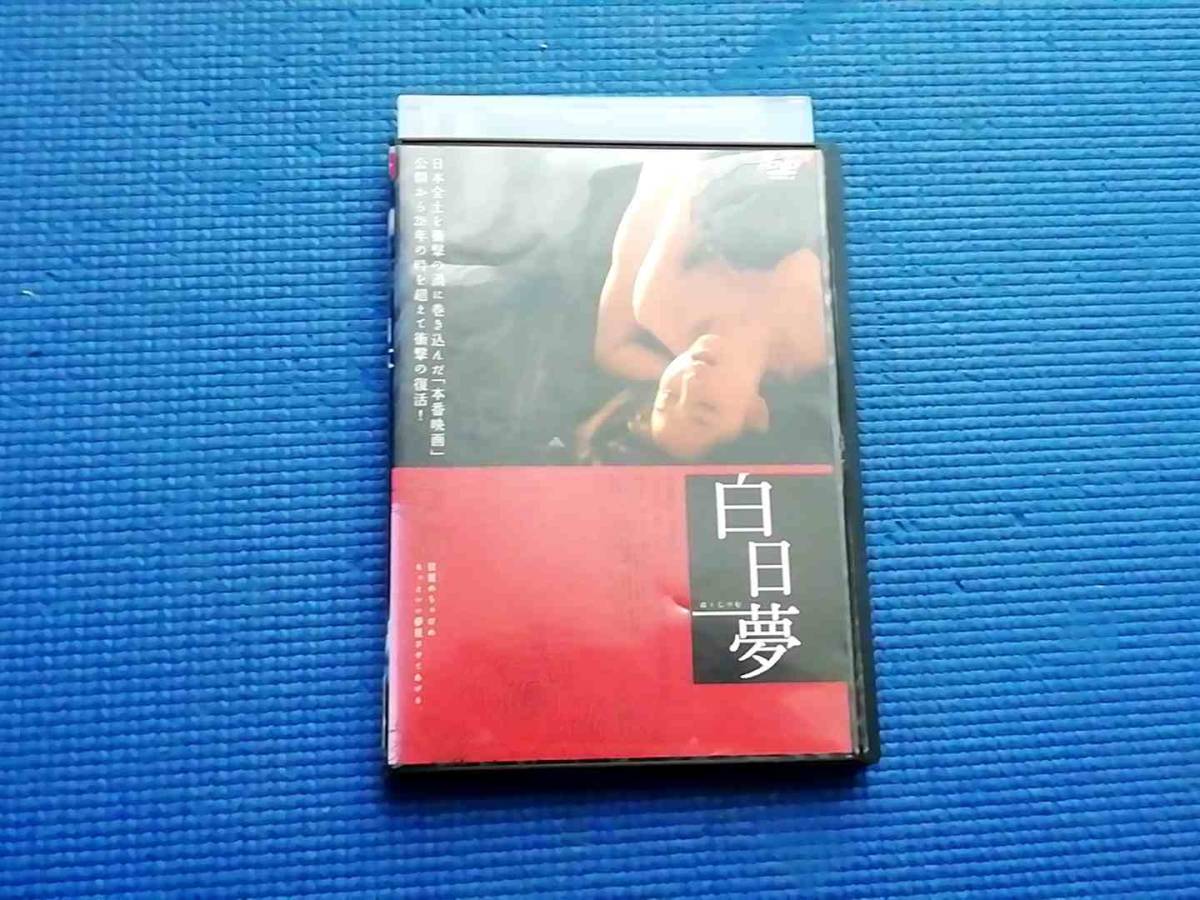 DVD 白日夢 西条美咲 大坂俊介 鳥肌実 小島可奈子 坂本真 福永ちな 姑