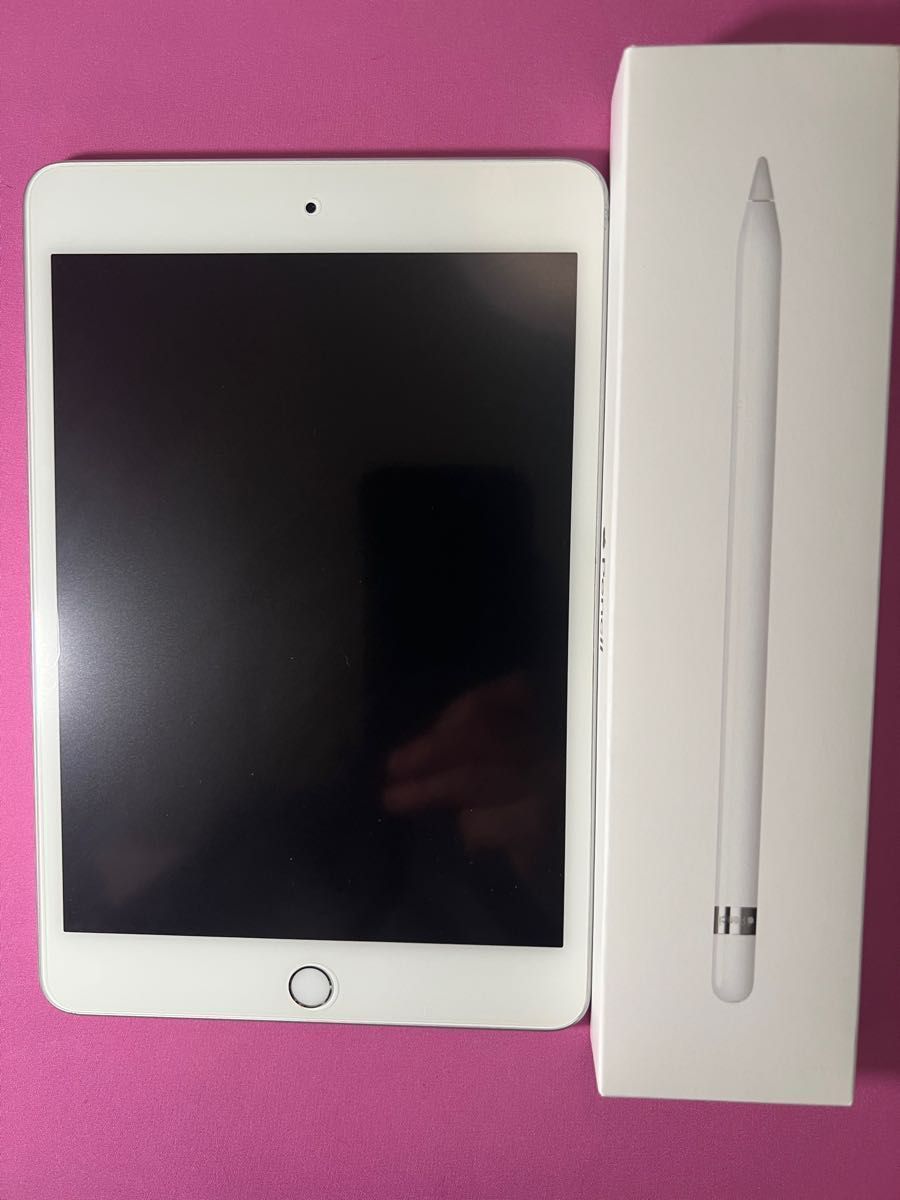 Apple Pencil専用チップ+ ipad mini 5 Wifi 256gb+apple pencil 1