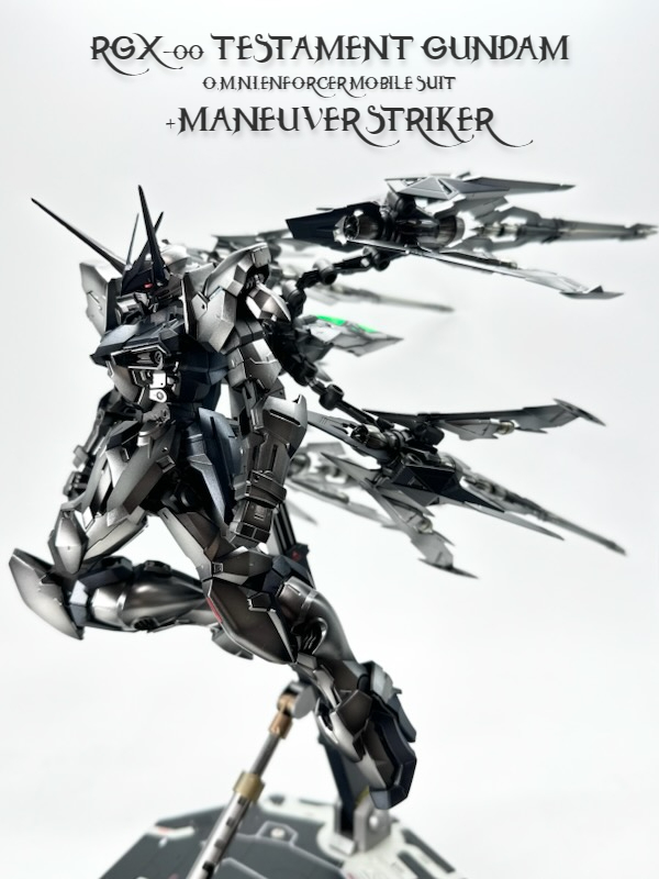 MG　1/100　テスタメントガンダム＋マニューバストライカー（プレバン限定・全塗装完成品）_画像1