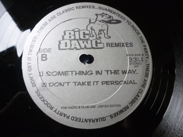 Big Dawg Remixes / Wishing On A Star 試聴可 バンギン PARTYブレイクス 12EP Too Hype / Something In The Way / Don't Take It Personal_画像2