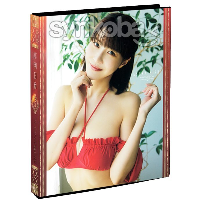 HIT'S/岸明日香5 -Vol.5-　専用特製バインダー　(赤ビキニ)　◆非売品　 230526-021_画像1