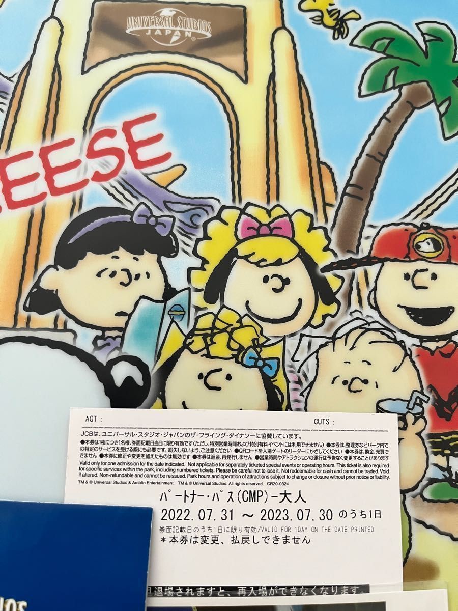 ユニバーサルスタジオジャパン チケット 2枚 USJユニバーサルスタジオ