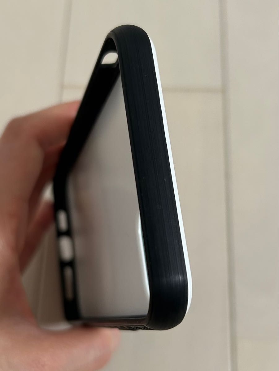 iPhone11Pro Max 強化ガラス仕上げスマホケース　オランダカイウ 