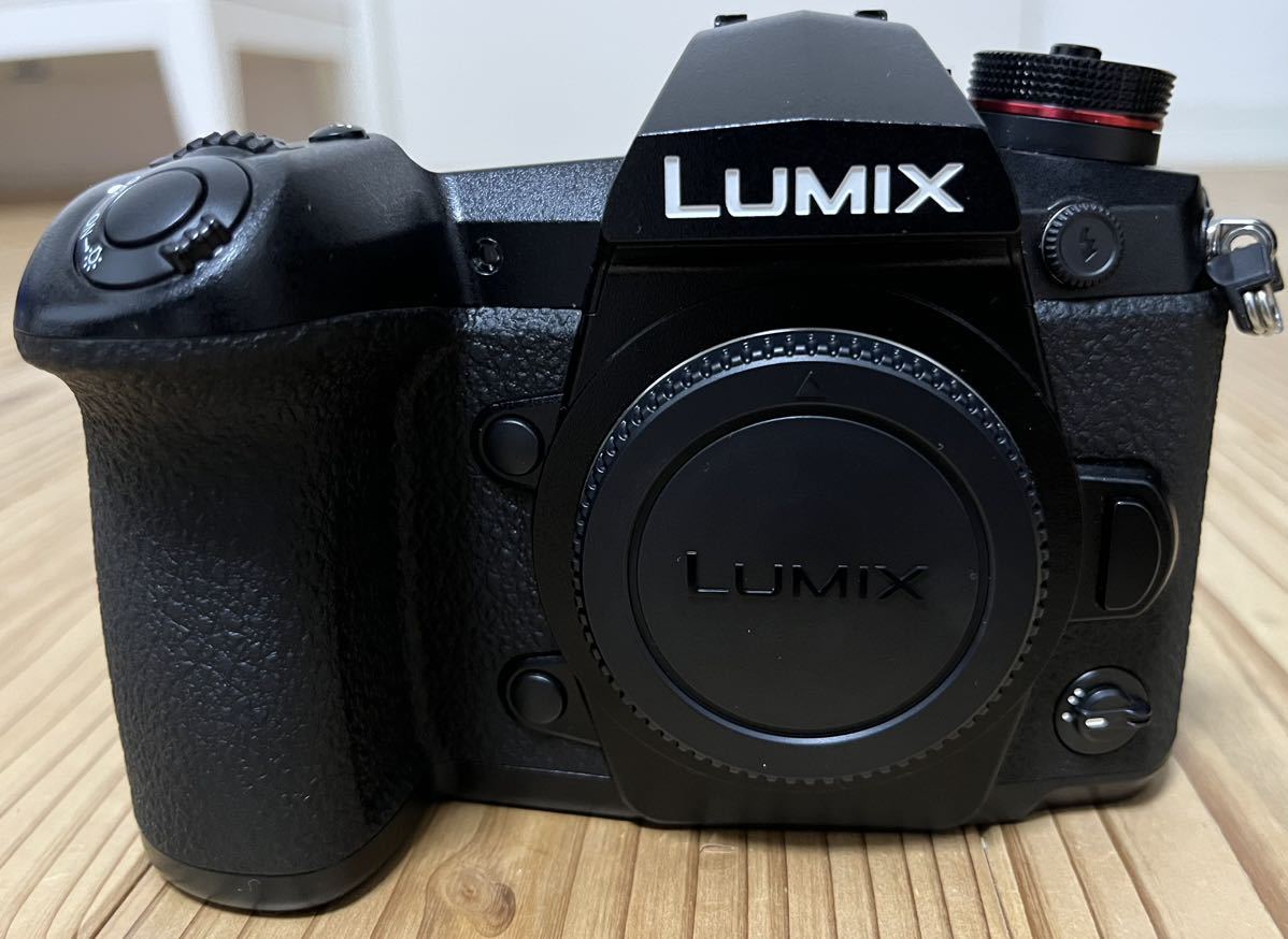 ☆超美品 ムック本付☆ Panasonic パナソニック LUMIX DC-G9 pro