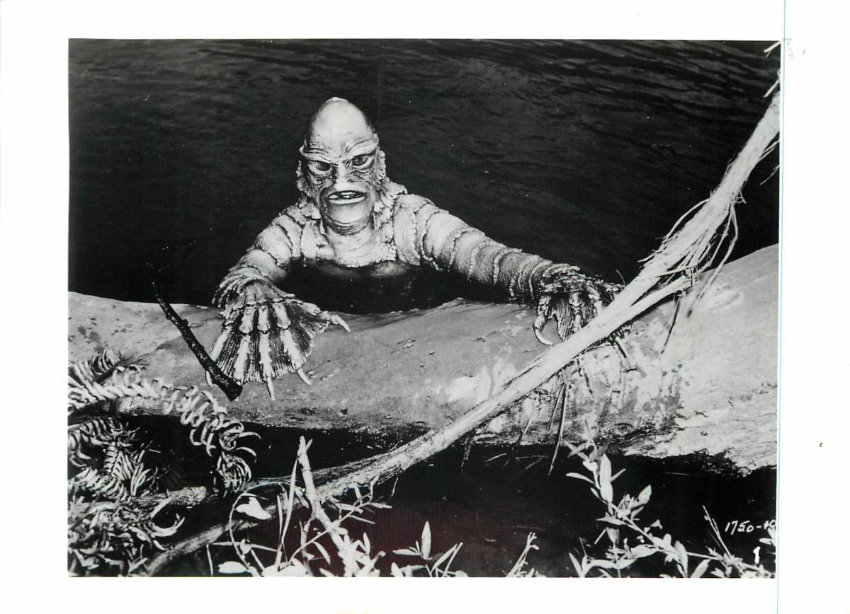 ヤフオク Pf 大アマゾンの半魚人 スチル ジュリー ヤフオク Pf 大アマゾンの半魚人 スチル ジュリー