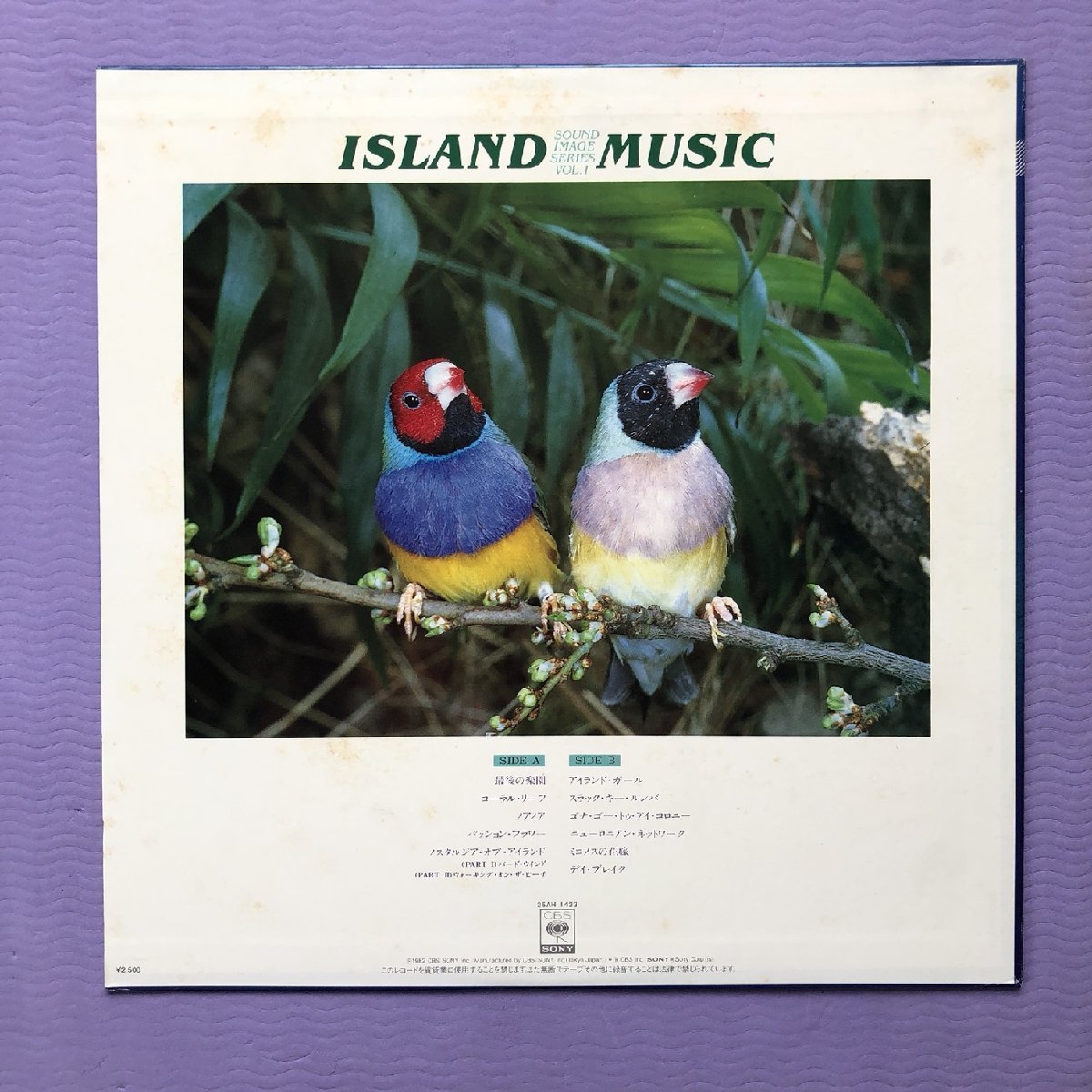 傷なし美盤 レア盤 オムニバス 1982年 LPレコード Island Music 名盤 オリジナル盤 山下達郎 細野晴臣 高橋幸宏 坂本龍一 鈴木茂 松原正樹_画像2