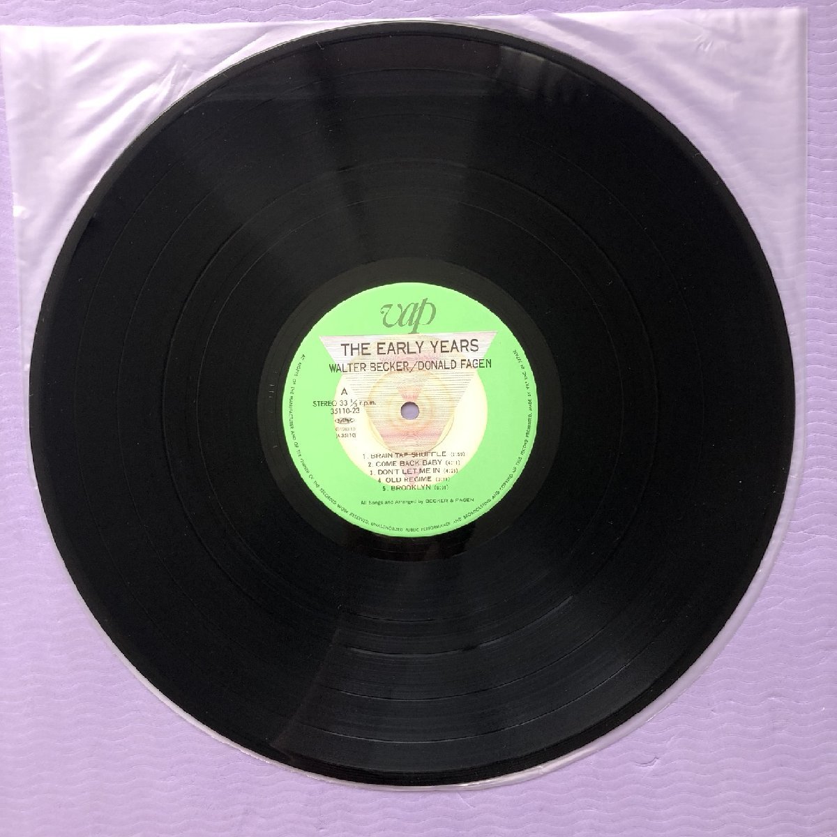 傷なし美盤 美ジャケ 超貴重盤 Walter Becker & Donald Fagen (Steely Dan) 1983年 LPレコード The Early Years 国内盤 帯付_画像8