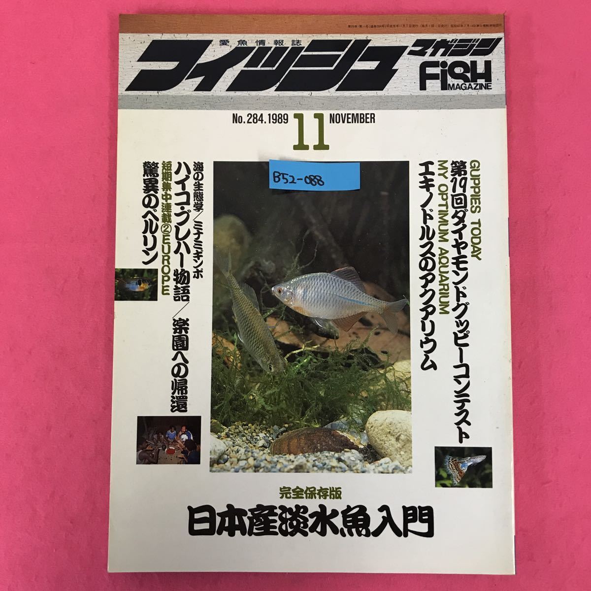 B52-088 フィッシュマガジン '89 11 No.284 特集/日本産淡水魚入門 緑書房 _画像1