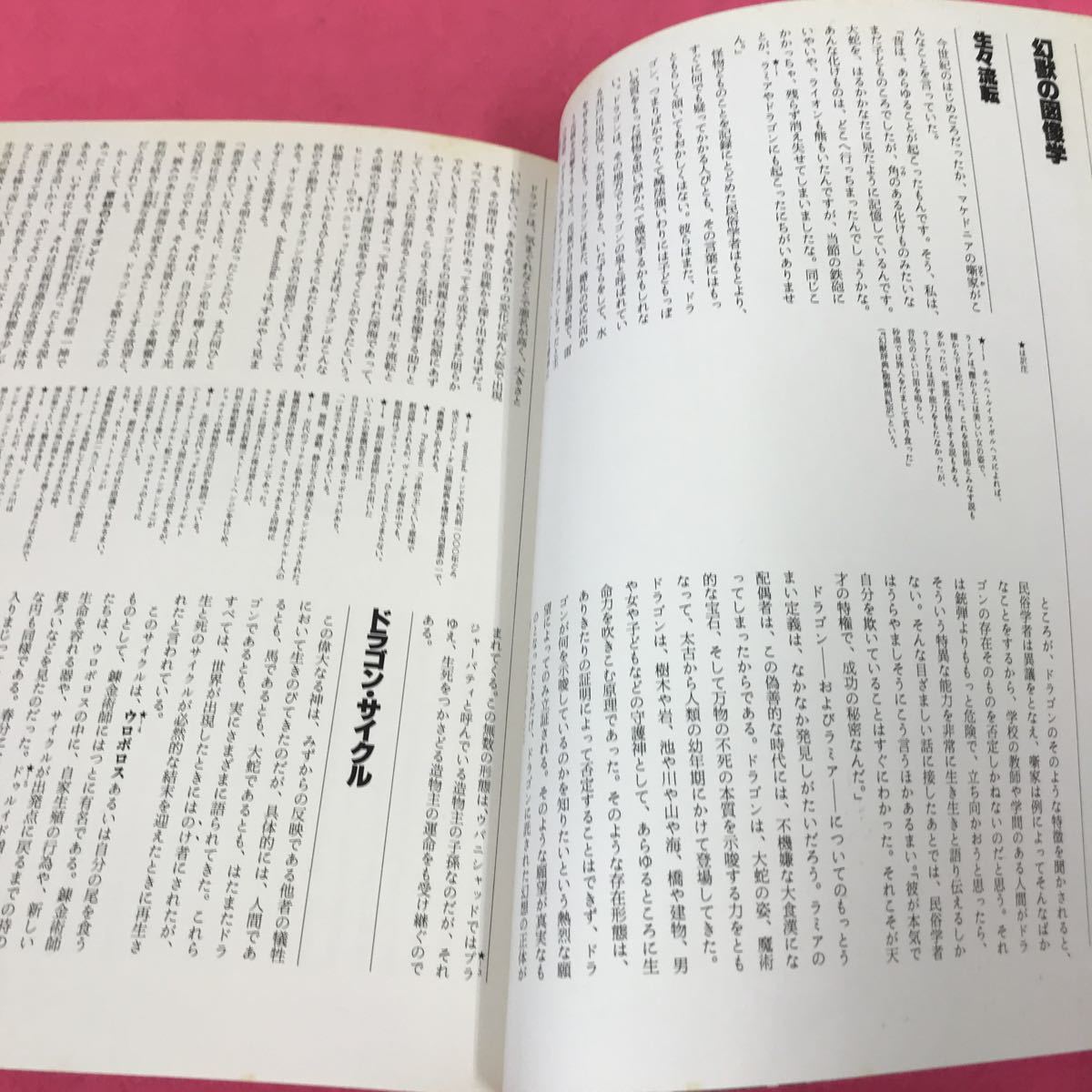 B55-092 イメージの博物誌-13 龍とドラゴン 幻獣の図像学 フランシス・ハックスリー 中野美代子 1982年8月17日初版第1刷発行_画像2