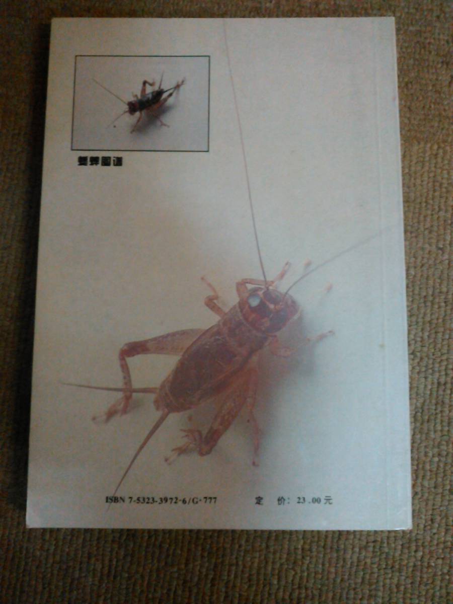 a22-e5▼送料込▼中国書 蟋蟀の図鑑_画像3