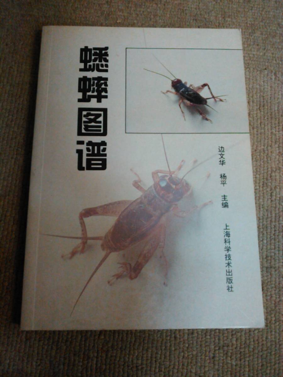 a22-e5▼送料込▼中国書 蟋蟀の図鑑_画像1