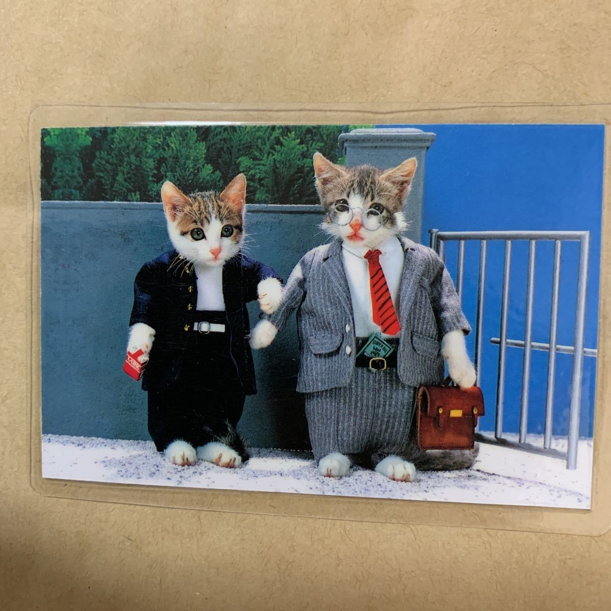 昭和レトロ 当時物 なめ猫 なめんなよ 暴走族 昭和 なめねこ 昭和レトロ 当時物 なめ猫 なめんなよ 暴走族 昭和 なめねこ