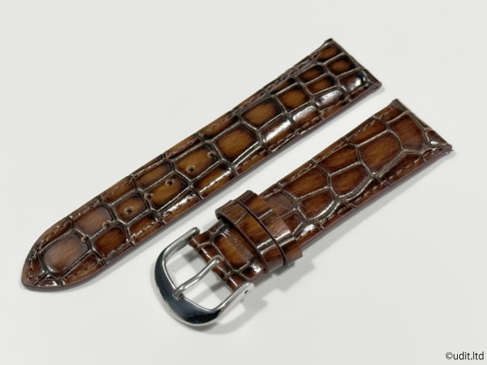 ラグ幅 22mm 腕時計ベルト レザーベルト バンド ブラウン クロコダイル調 ハンドメイド 尾錠付き レザーバンド LB102_表面のデザインです。
