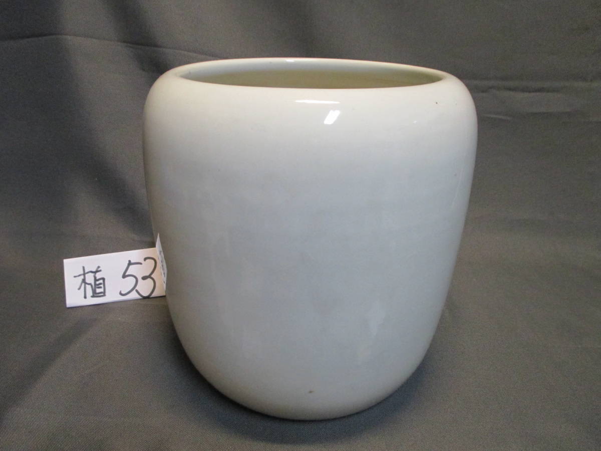 [ lake .] white porcelain fire pot / inspection ) tea utensils me Dakar pot flower vase gardening water ream goldfish gardening 8523.53