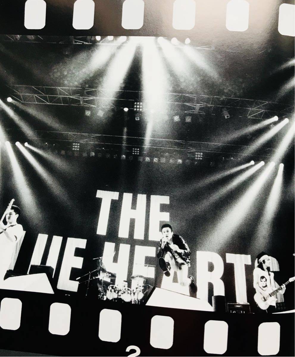 甲本ヒロト ブルーハーツ the blue hearts #激レア 1989 コンサート #入手困難