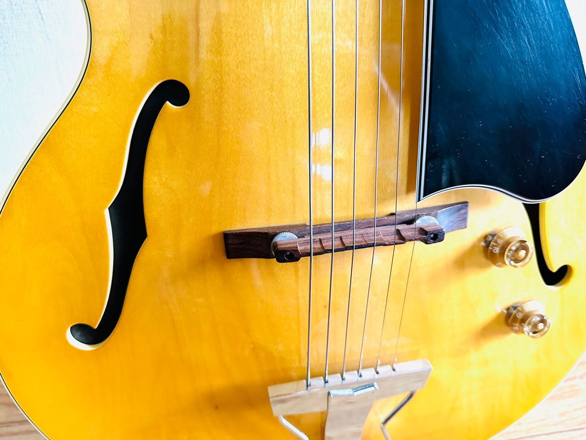 Archtop Tribute アーチトップトリビュート AT102 美品 | noonanwaste.com
