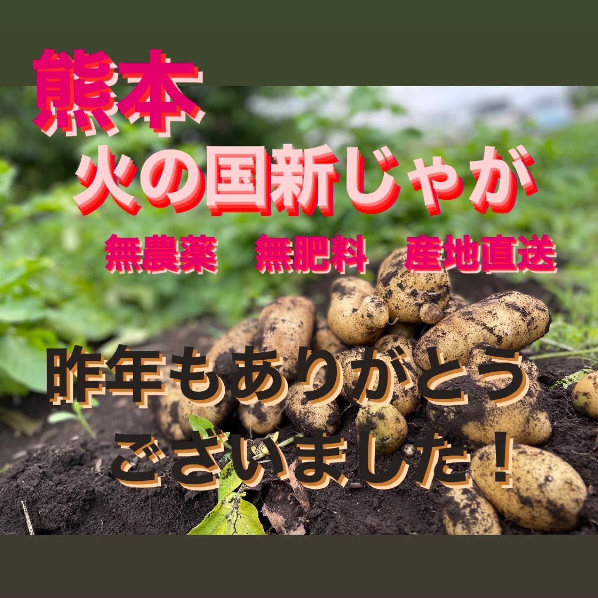 無農薬火の国熊本新じゃが メークイン10キロ プラス1キロ|PayPayフリマ
