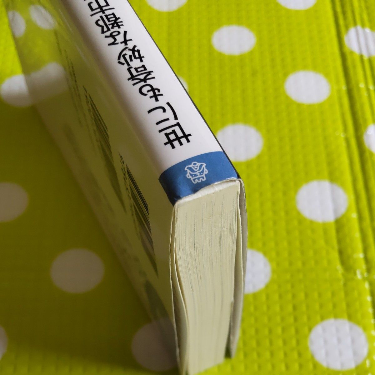 世にも奇妙な都市伝説 （王様文庫　Ａ６５－５） 並木伸一郎／著